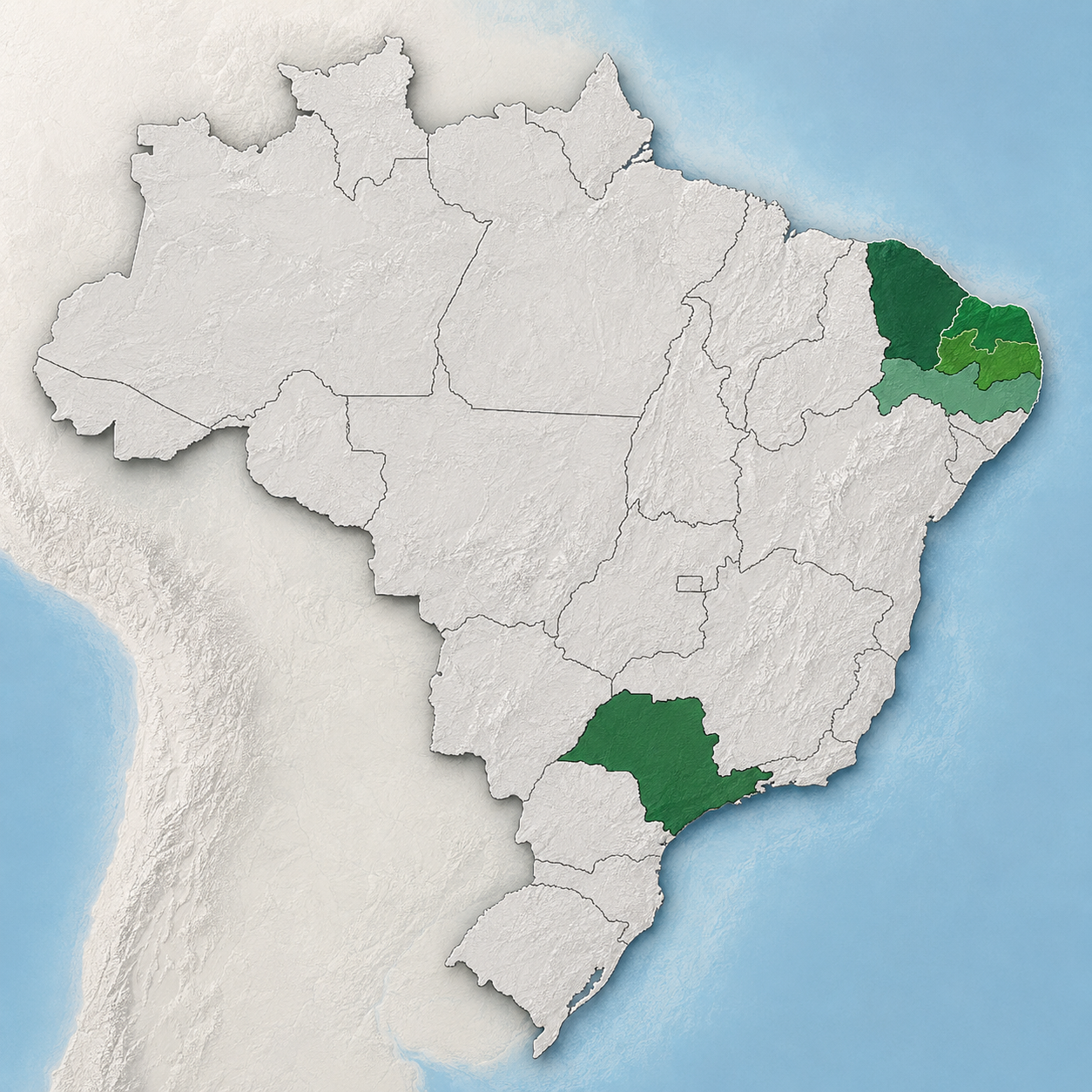 Atendimento com gente de verdade, não robô