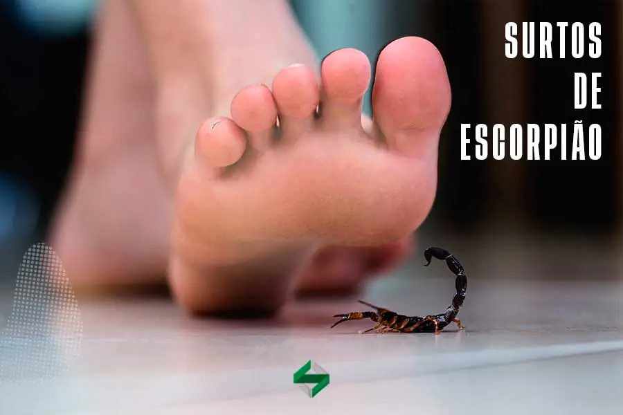 surto escorpião