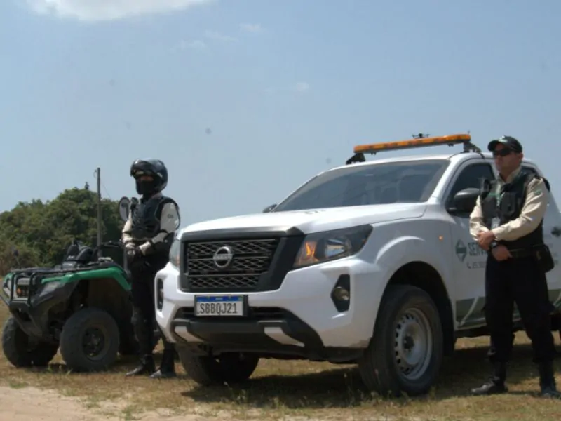 a importancia da segurança privada no brasil